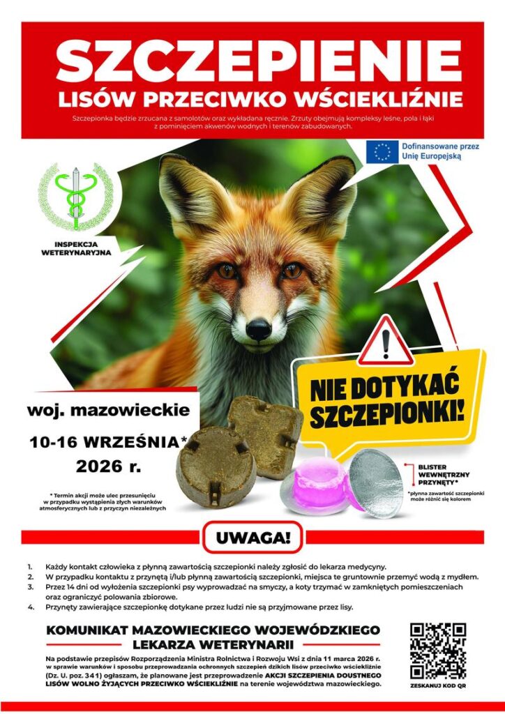 KOMUNIKAT MAZOWIECKIEGO WOJEWÓDZKIEGO LEKARZA WETERYNARII
Na podstawie przepisów Rozporządzenia Ministra Rolnictwa i Rozwoju Wsi z dnia 11 marca 2026 r. w sprawie warunków i sposobu przeprowadzania ochronnych szczepień dzikich lisów przeciwko wściekliźnie (Dz. U. poz. 341) ogłaszam, że planowane jest przeprowadzenie AKCJI SZCZEPIENIA DOUSTNEGO LISÓW WOLNO ŻYJĄCYCH PRZECIWKO WŚCIEKLIŹNIE na terenie województwa mazowieckiego 10-16 WRZEŚNIA 2026 r. Termin akcji może ulec przesunięciu w przypadku wystąpienia złych warunków atmosferycznych lub z przyczyn niezależnych. Szczepionka będzie zrzucana z samolotów oraz wykładana ręcznie. Zrzuty obejmują kompleksy leśne, pola i łąki z pominięciem akwenów wodnych i terenów zabudowanych. NIE DOTYKAĆ SZCZEPIONKI!
1. Każdy kontakt człowieka z płynną zawartością szczepionki należy zgłosić do lekarza medycyny.
2. W przypadku kontaktu z przynętą i/lub płynną zawartością szczepionki, miejsca te gruntownie przemyć wodą z mydłem.
3. Przez 14 dni od wyłożenia szczepionki psy wyprowadzać na smyczy, a koty trzymać w zamkniętych pomieszczeniach oraz ograniczyć polowania zbiorowe.
4. Przynęty zawierające szczepionkę dotykane przez ludzi nie są przyjmowane przez lisy.
Dofinansowane przez Unię Europejską